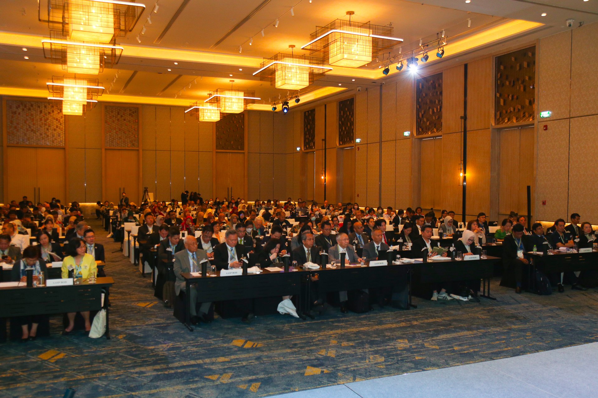 AASP 2024 highlights